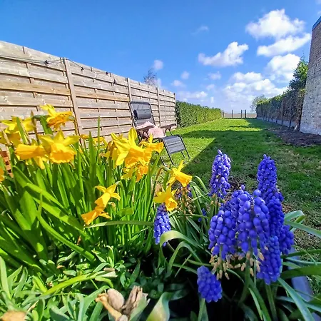 Vakantiehuis Warvinge 73 *