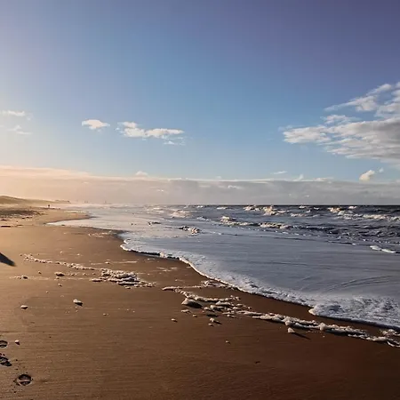 Warvinge 73 * דה האן