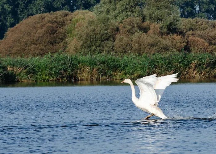 Дом отдыха Warvinge 73 Де-Хаан