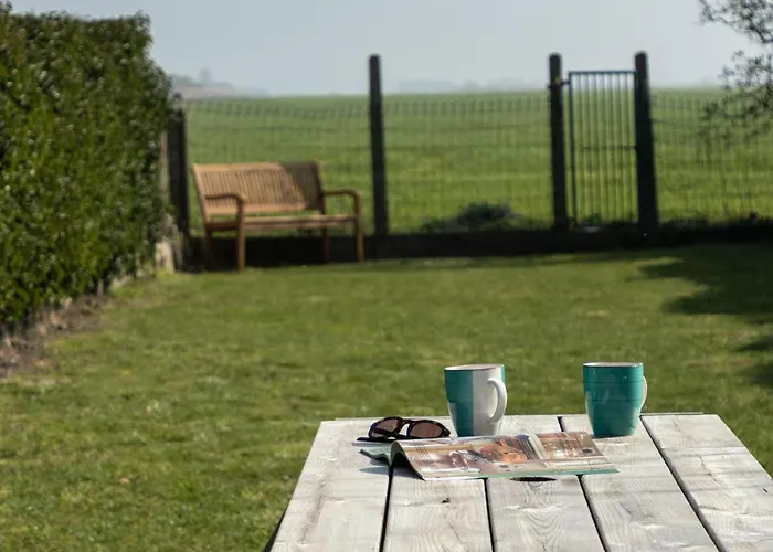 Warvinge 73 * 데한